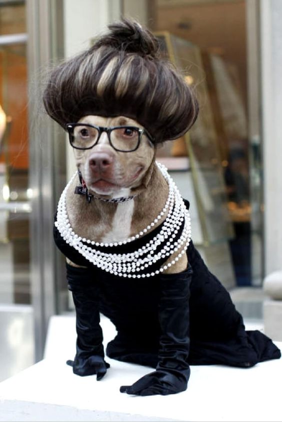 Doggy Hepburn.