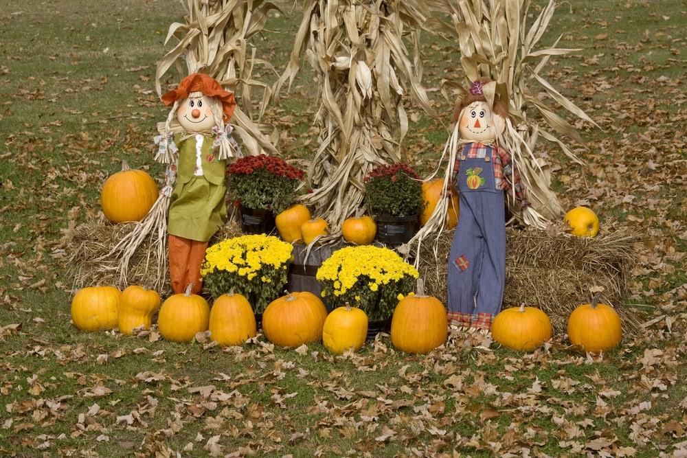 Happy Scarecrows.