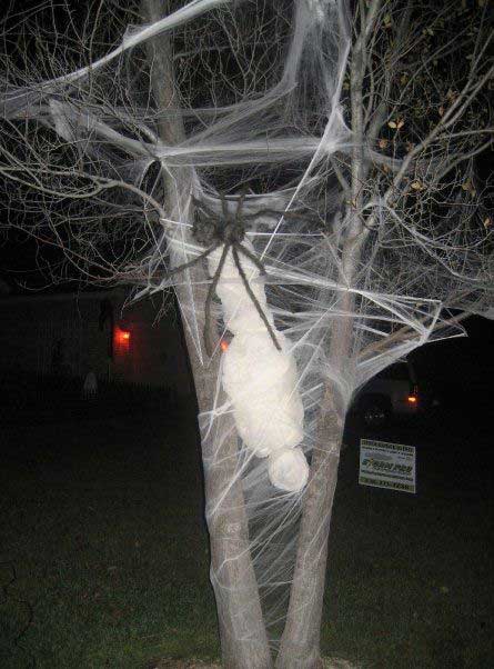 Life-size spider victim on a tree will scare off the night-time visitors.