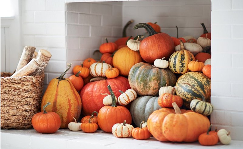 Love this indoor pumpkin patch!