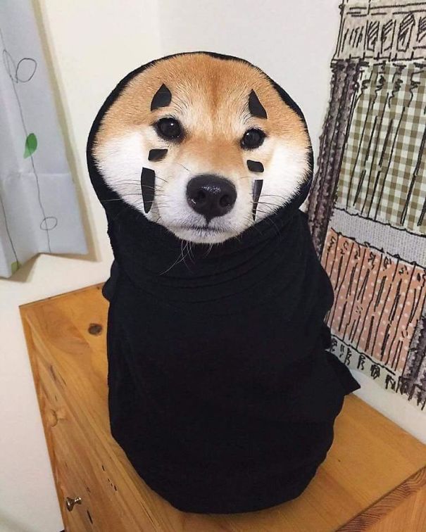 No-Face Doggo.