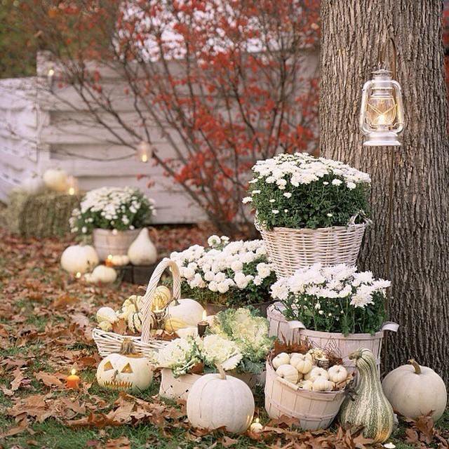 White Halloween outdoor yard display