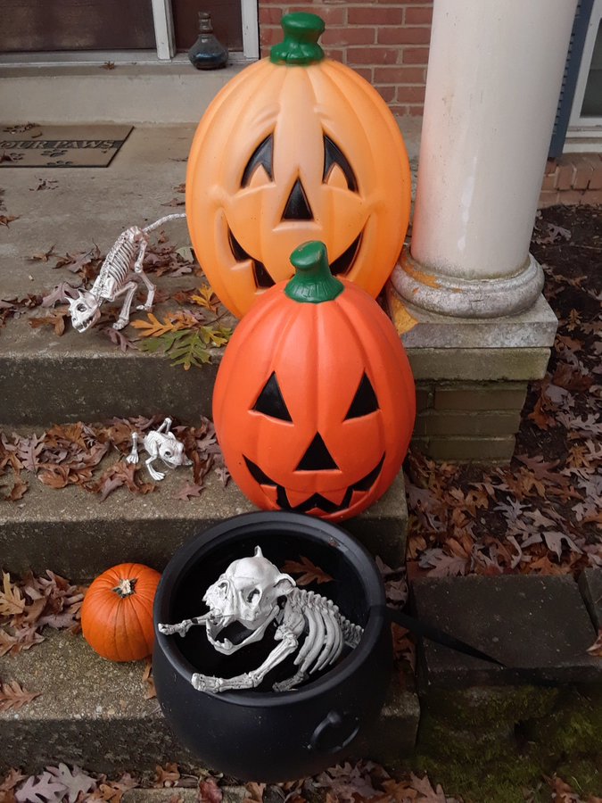 100+ Halloween Outdoor Decorations to make your home look spooky