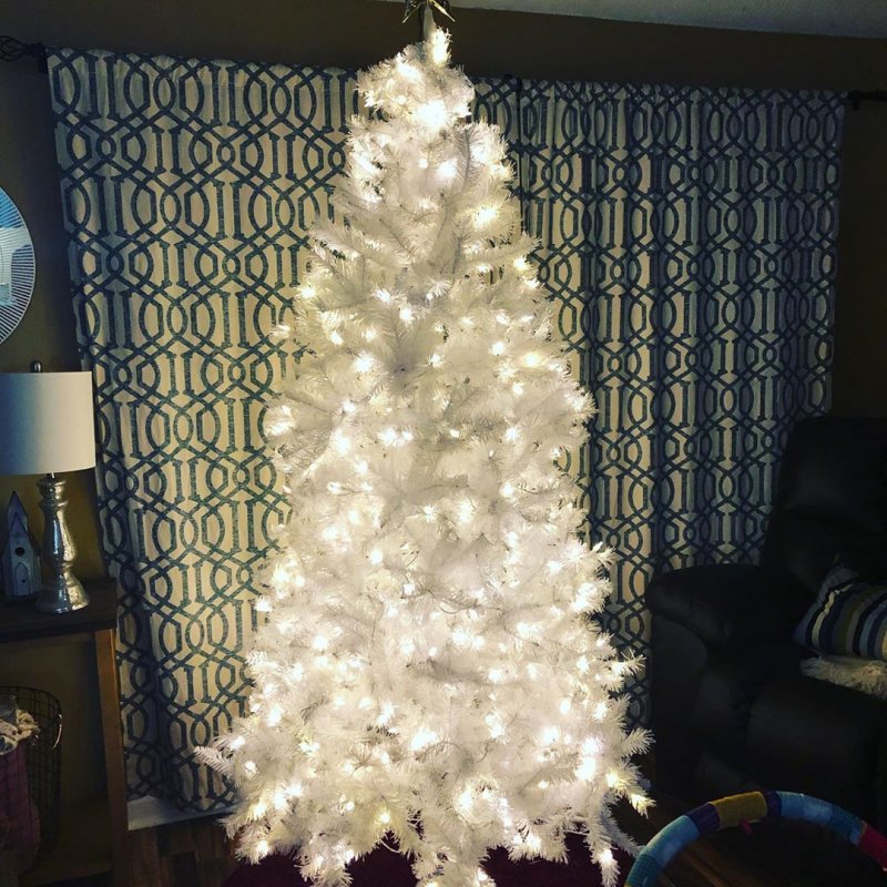 Christmas tree up.