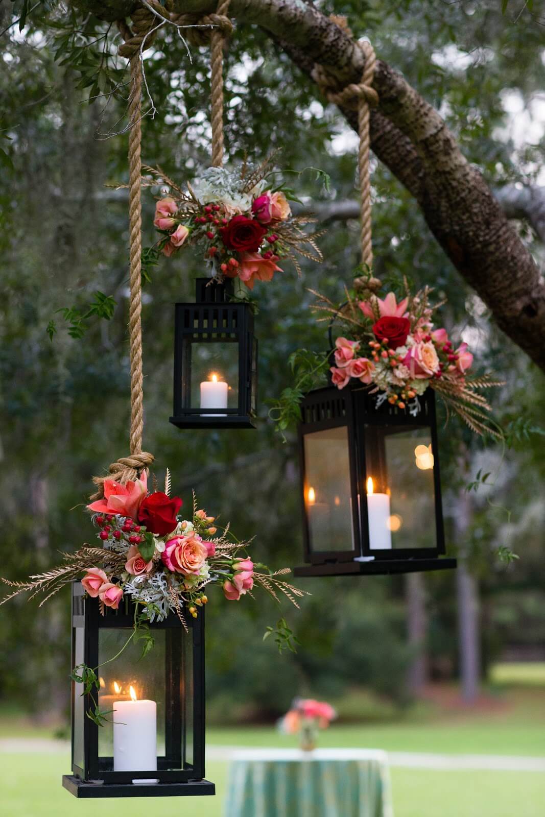 Lit Roses on the Ropes Lantern.