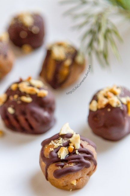 No-Bake Peanut Butter Cookies Truffles from Life Currents