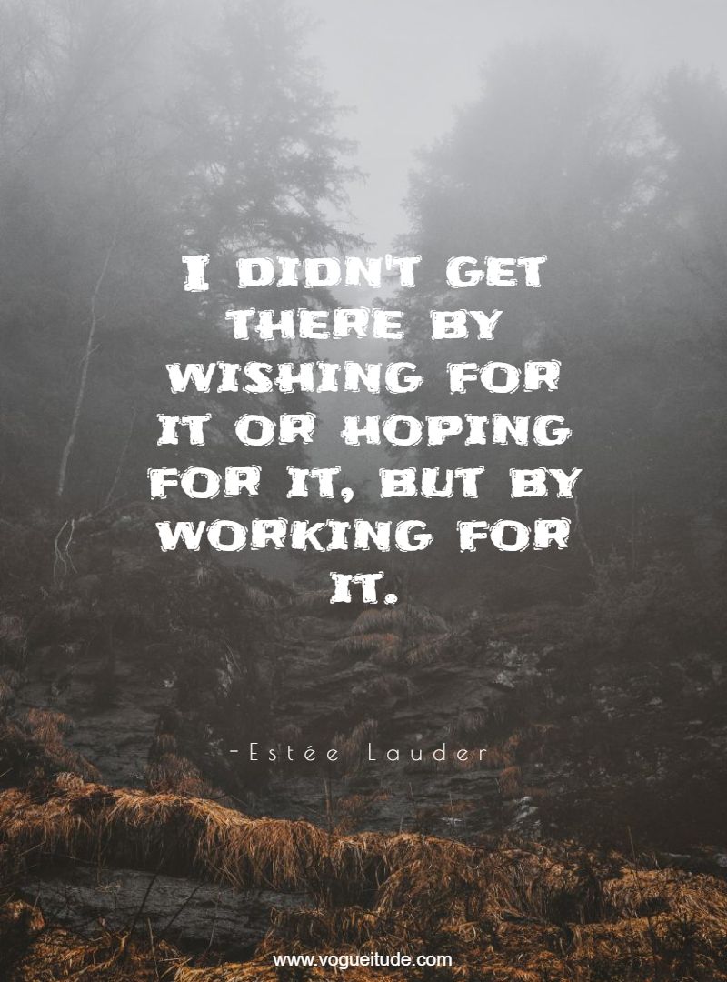 I didn't get there by wishing for it or hoping for it, but by working for it.