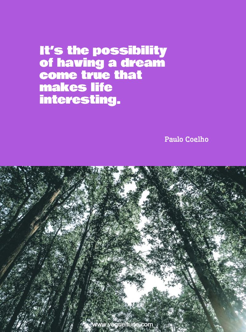 It’s the possibility of having a dream come true that makes life interesting.