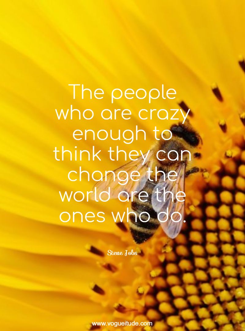 The people who are crazy enough to think they can change the world are the ones who do.