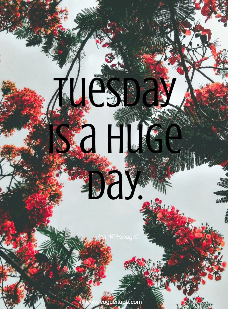 Tuesday is a huge day.