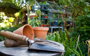 Straightening Up The Gardening
