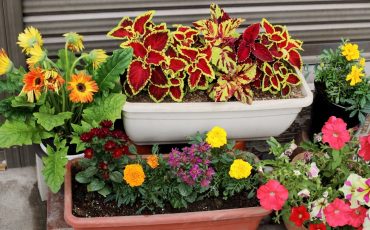 Why square pots