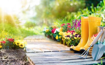 Amazing Gardening Shortcuts