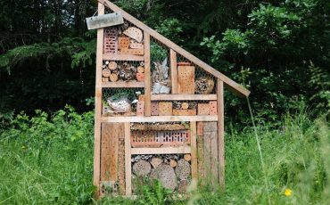 Attract Birds And Pollinators To Your Garden