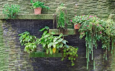 Build Vertical Garden In Small Space