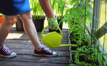 Container Gardening At The Terrace