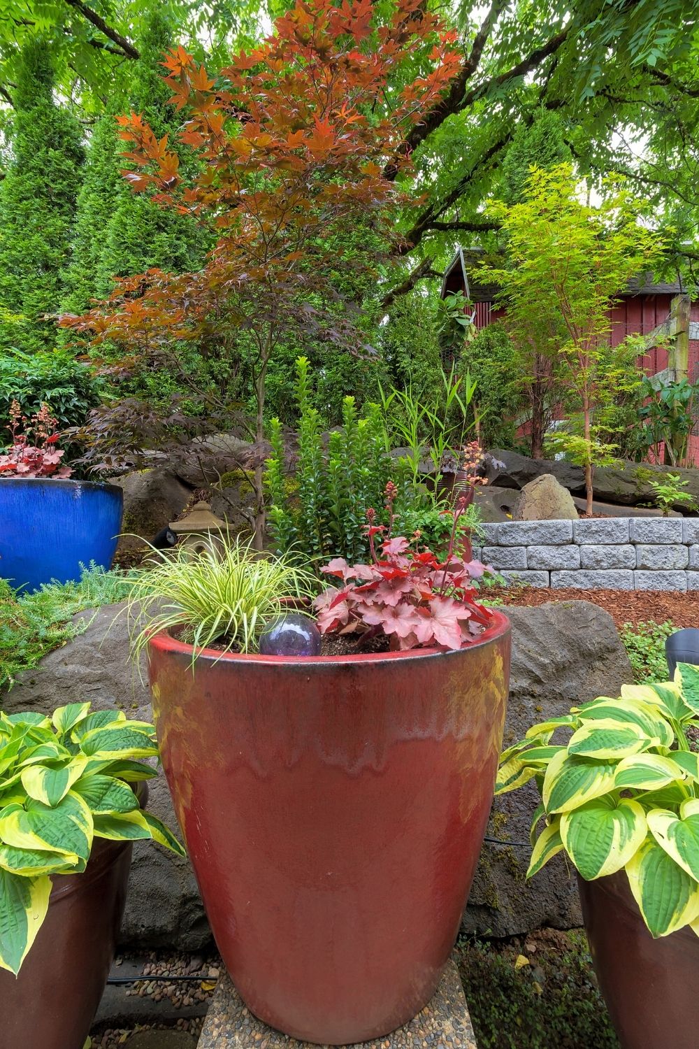 Container or Pot gardening