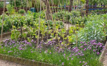 Design Your Very Own Perfect Garden