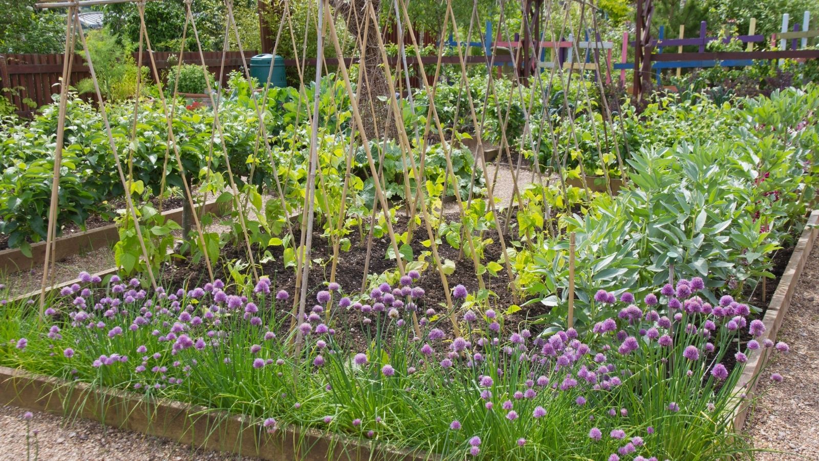 5 Easy Tips To Design Your Very Own Perfect Garden