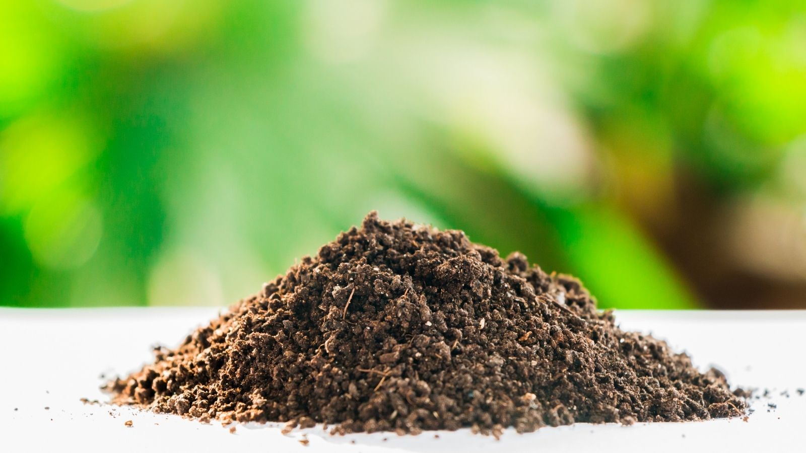 Easy Tricks To Build Healthy Fertile Soil