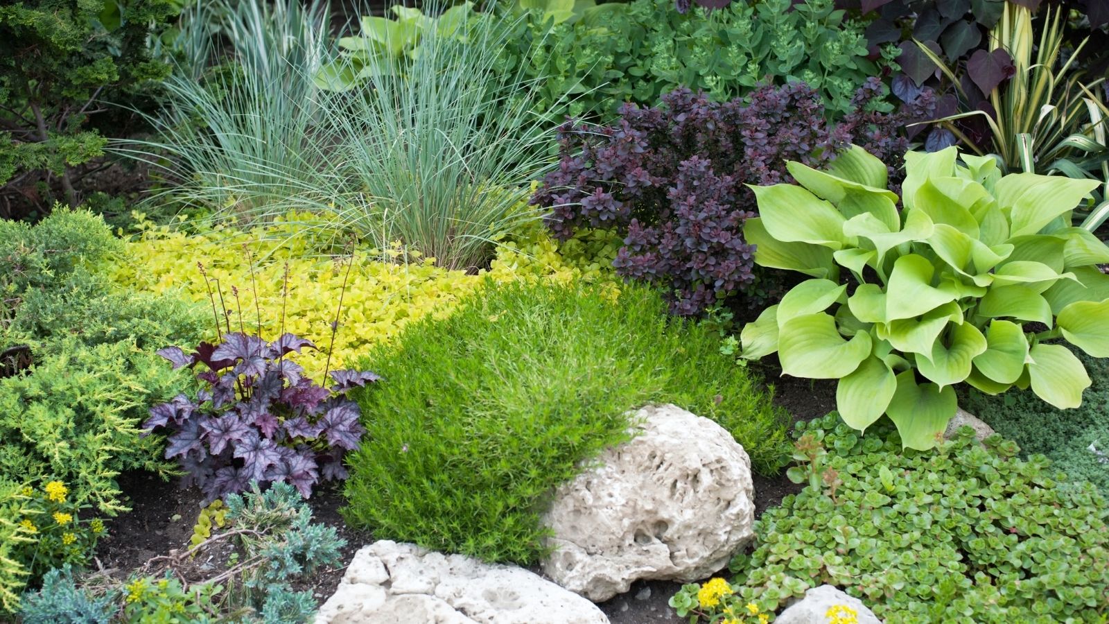 To Culture A Better Lawn: Follow These 9 Simple Ways