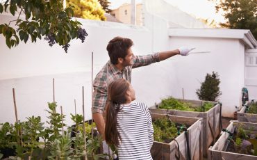 Easy winter tips for the garden
