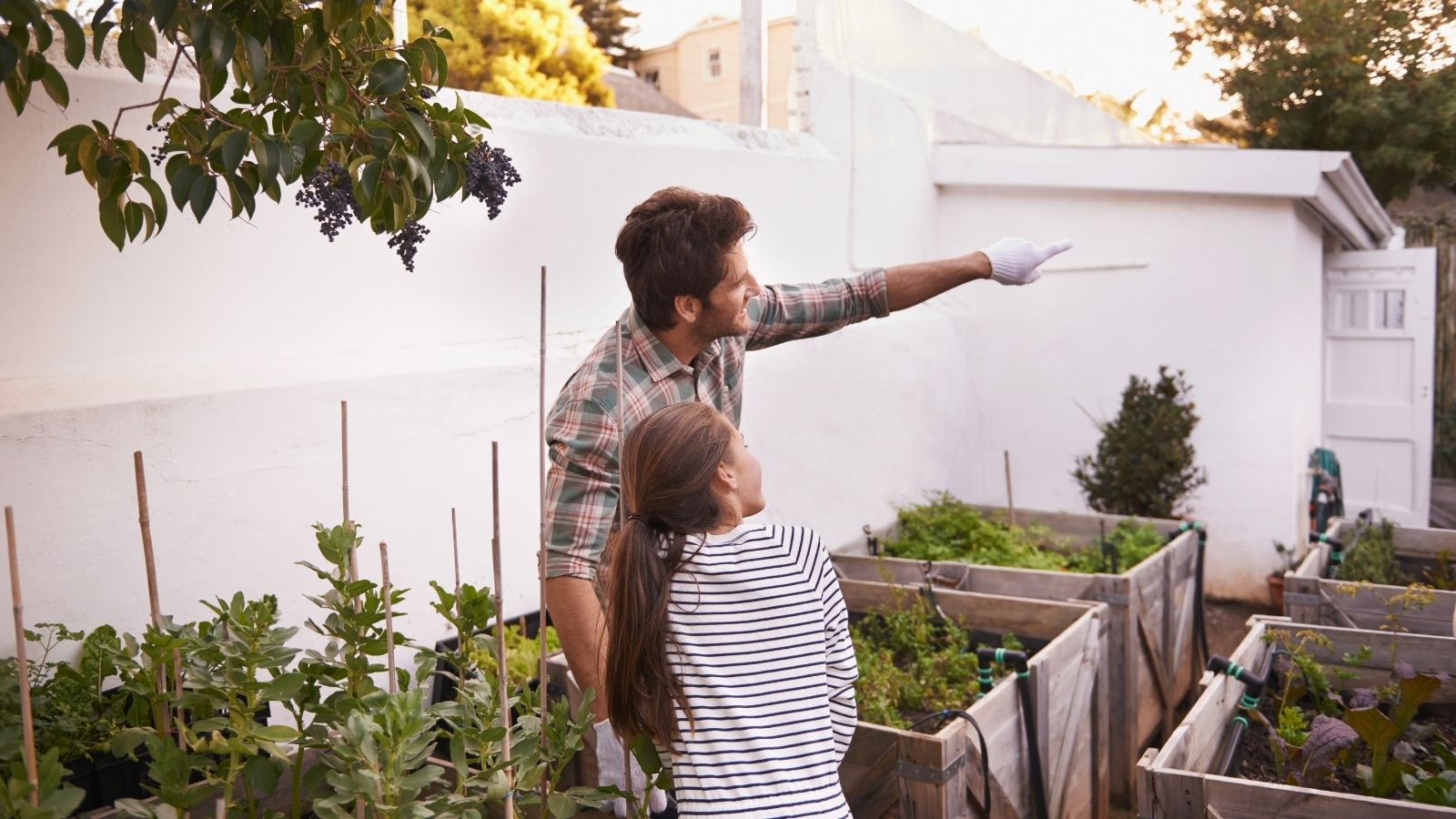 Winter Care For The Plants: Follow The 6 Easy Steps