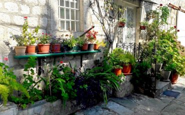 Enhance Urban Gardening