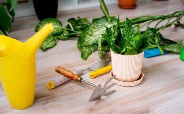 Essential Tools For First Time Gardeners
