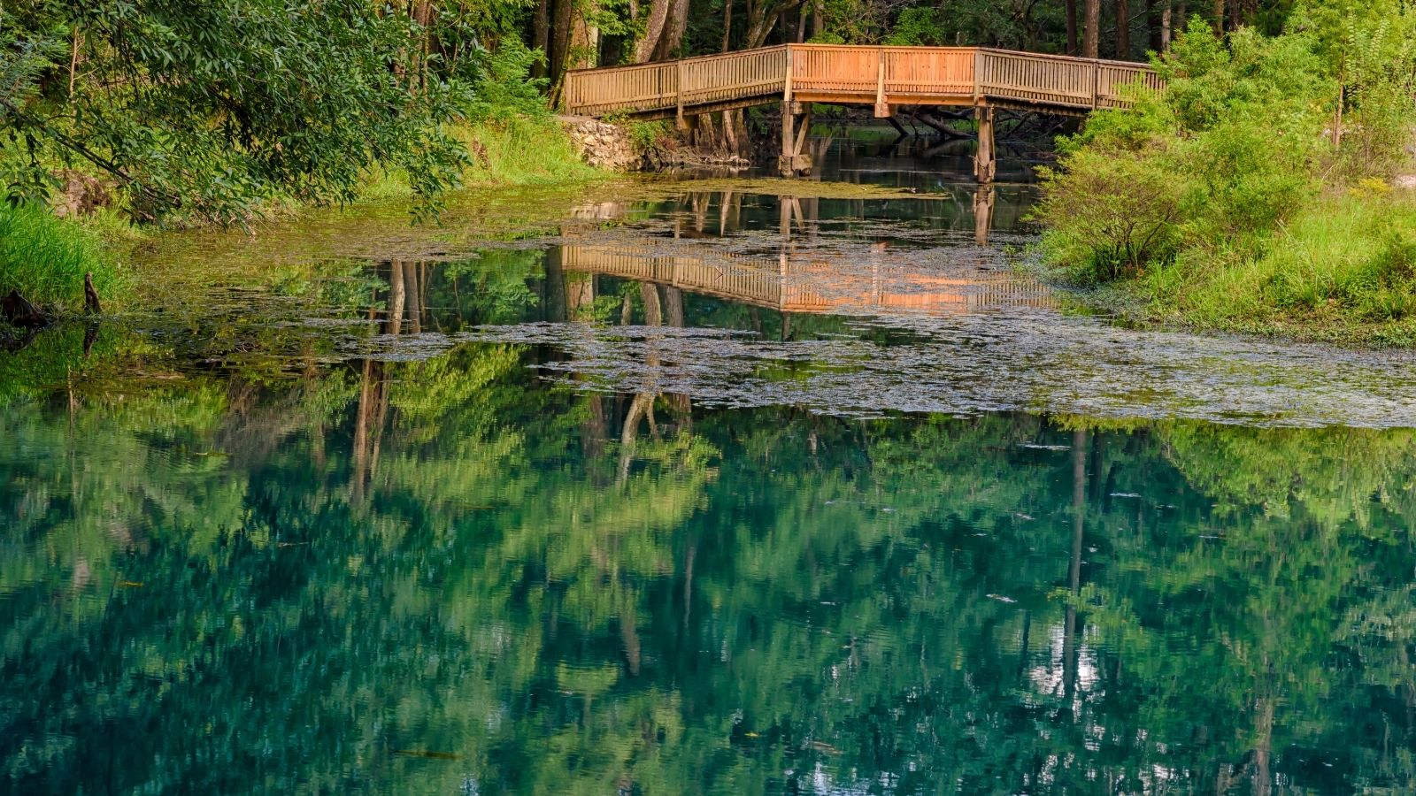 Want To Build A Wooden Bridge On Your Landscape: Follow These 5 Amazing Tips