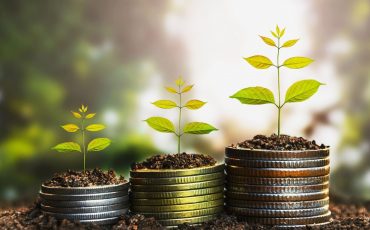 Grow A Money Tree