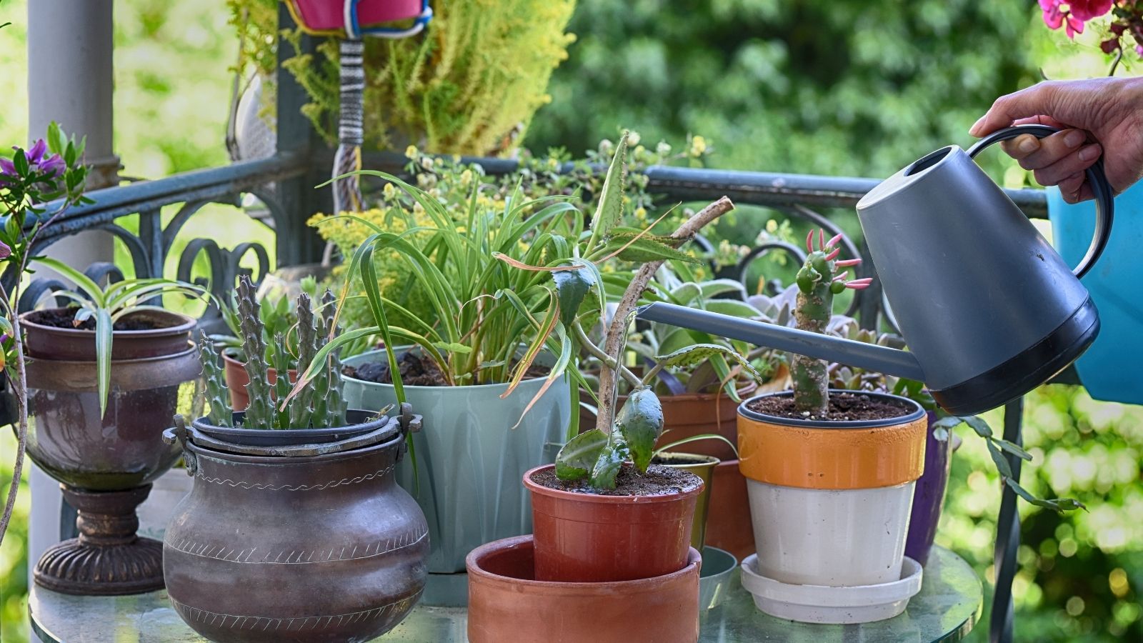 Learn How To Make Young Gardeners