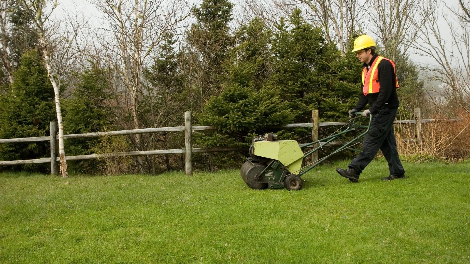 Organic Lawn Care