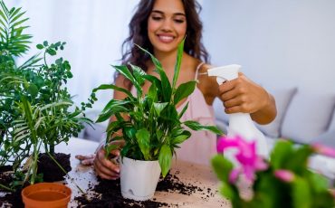 Selecting the correct type of soil for your indoor garden