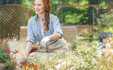 Start Gardening
