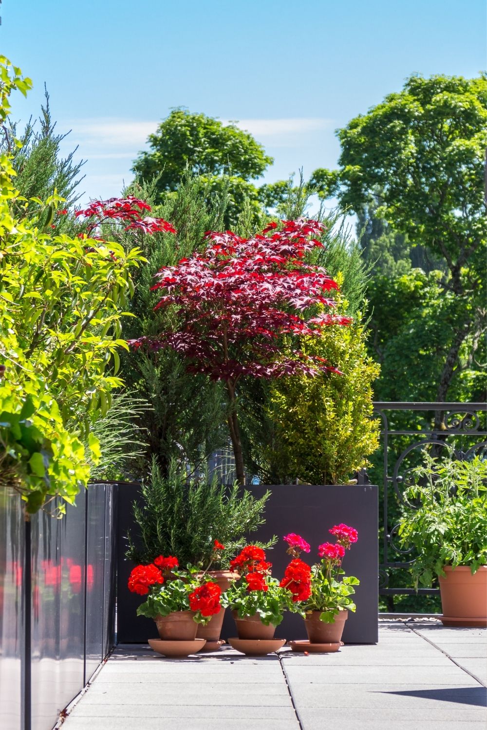 Terrace gardening