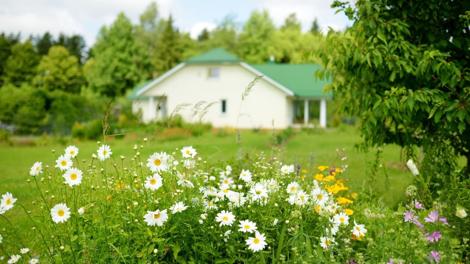 To Build An Intensive Garden Bed: Follow These 4 Amazing Ways