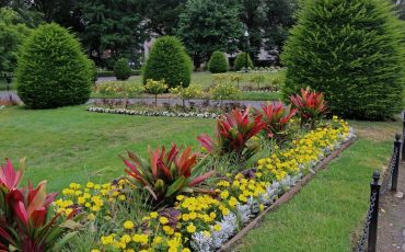 Common Gardening Mistakes