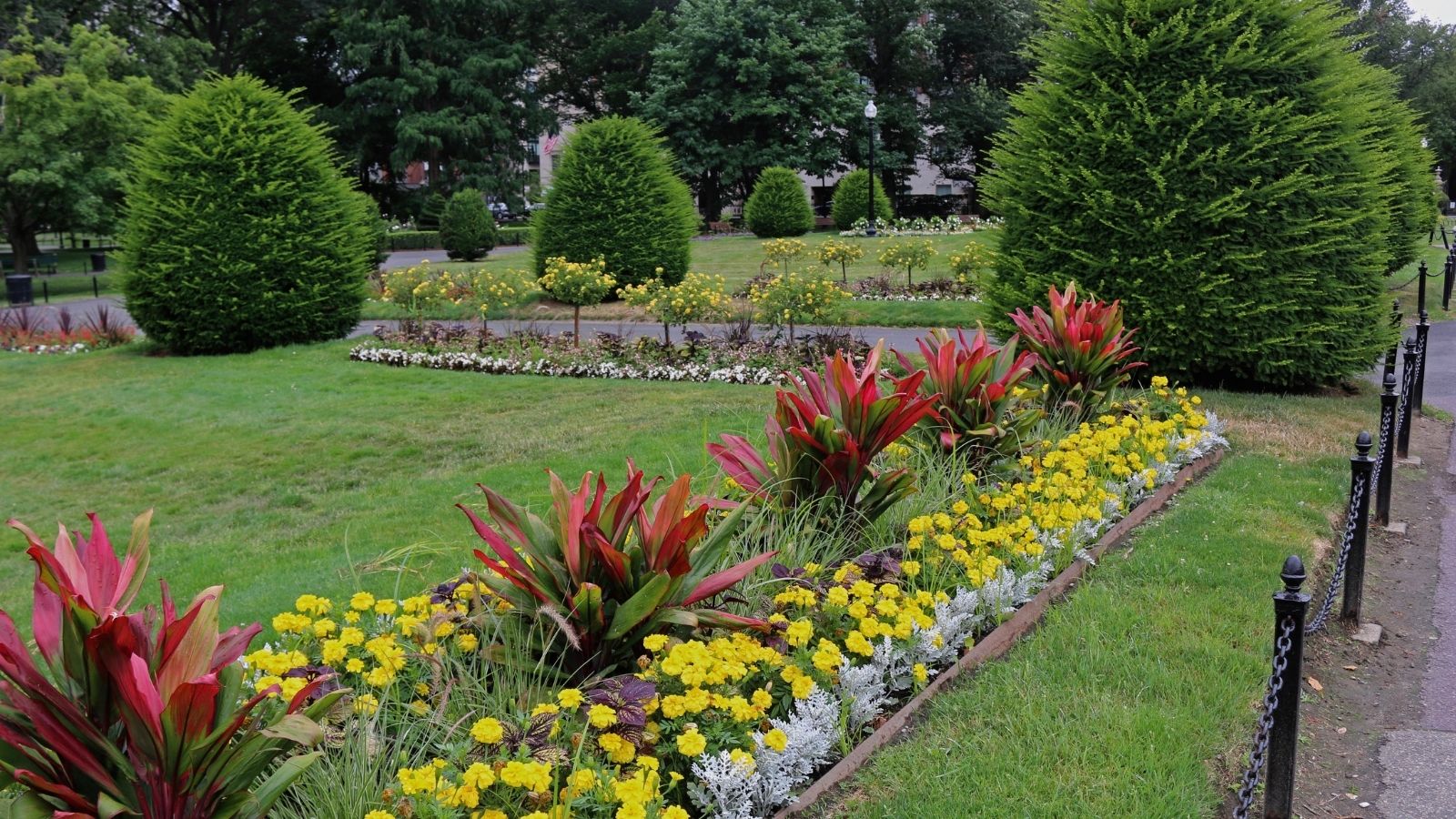 6 Common Gardening Mistakes You Should Avoid