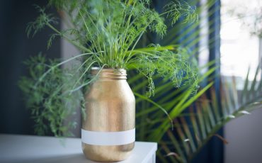 Exciting Ideas To Grow Indoor Food Garden