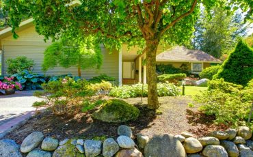 Front Garden Design Ideas