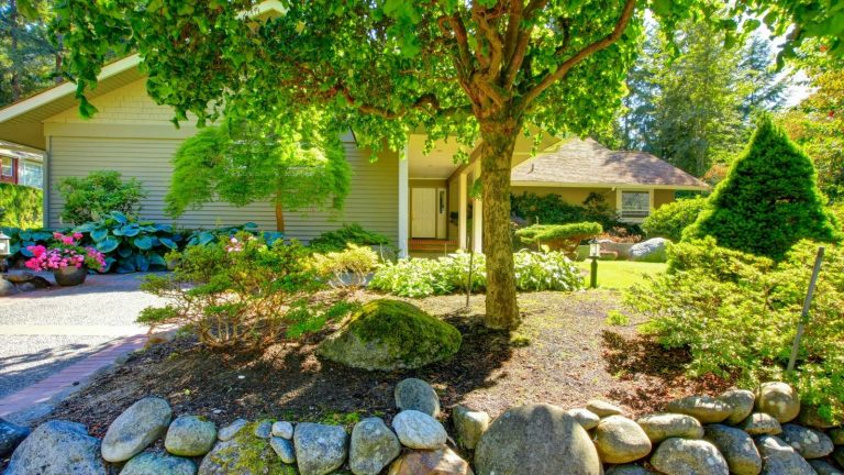 Front Garden Design Ideas