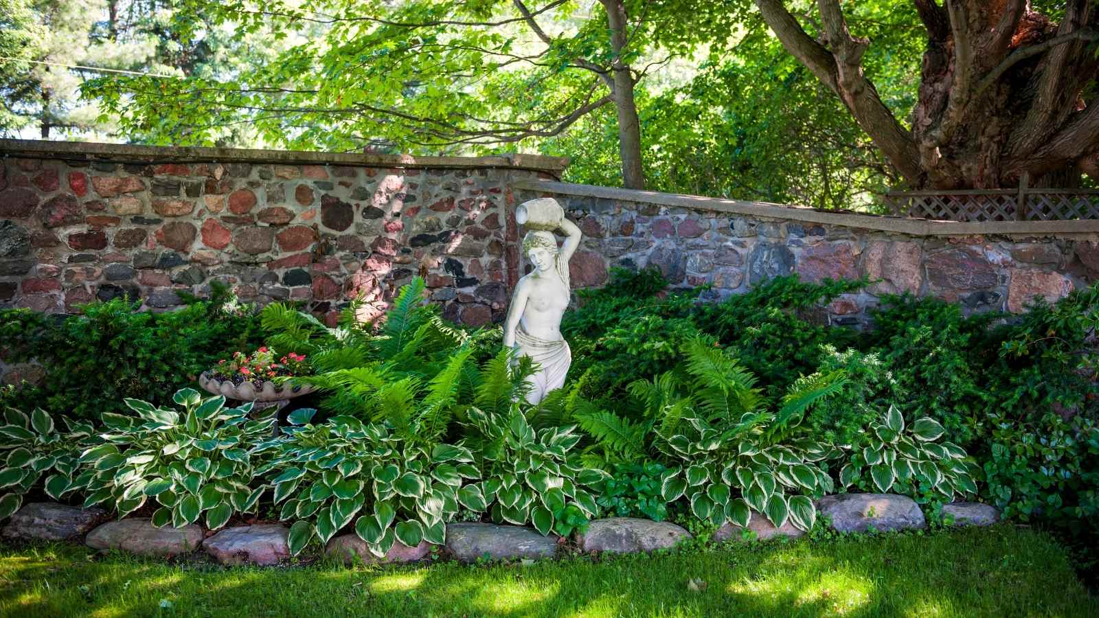 6 Easy To Grow Perennials For Small Gardens
