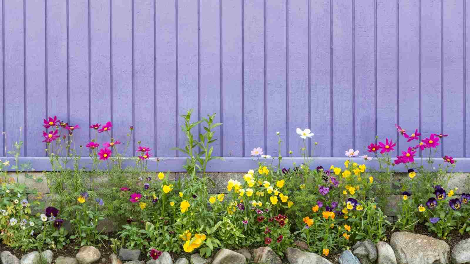 7 Most Awesome Pink Perennials For The Garden