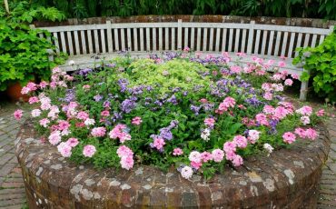 Raised Bed Designs For Gardening