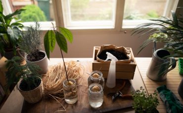 Spring Garden Indoors