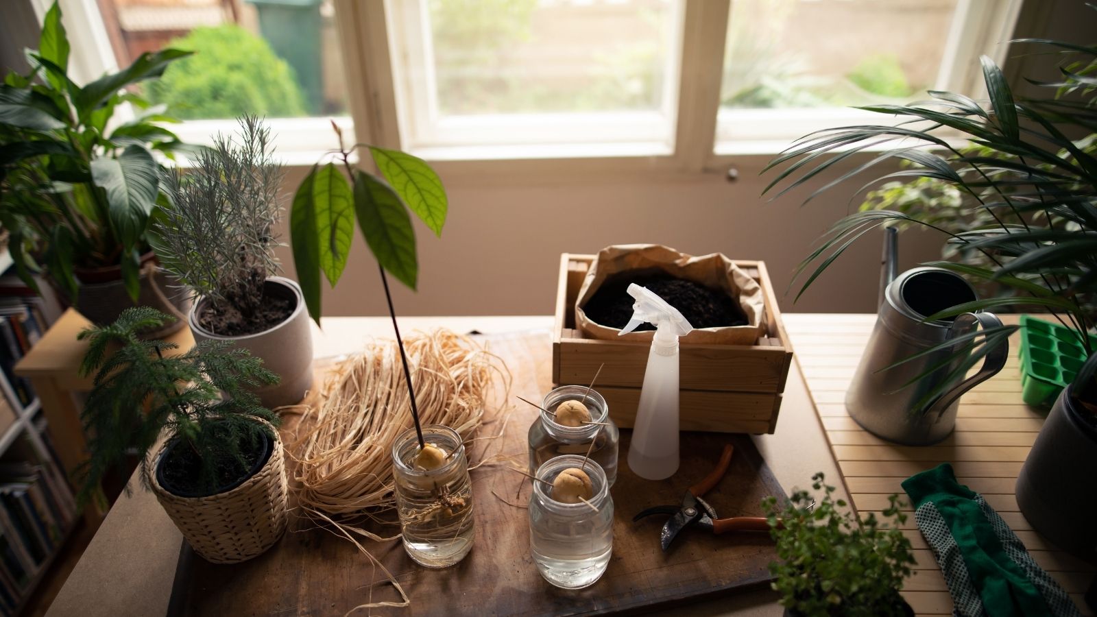 The 4 Necessities Of Spring Garden Indoors
