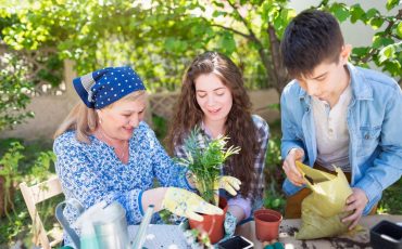 To Increase The Nourishment Of The Plants