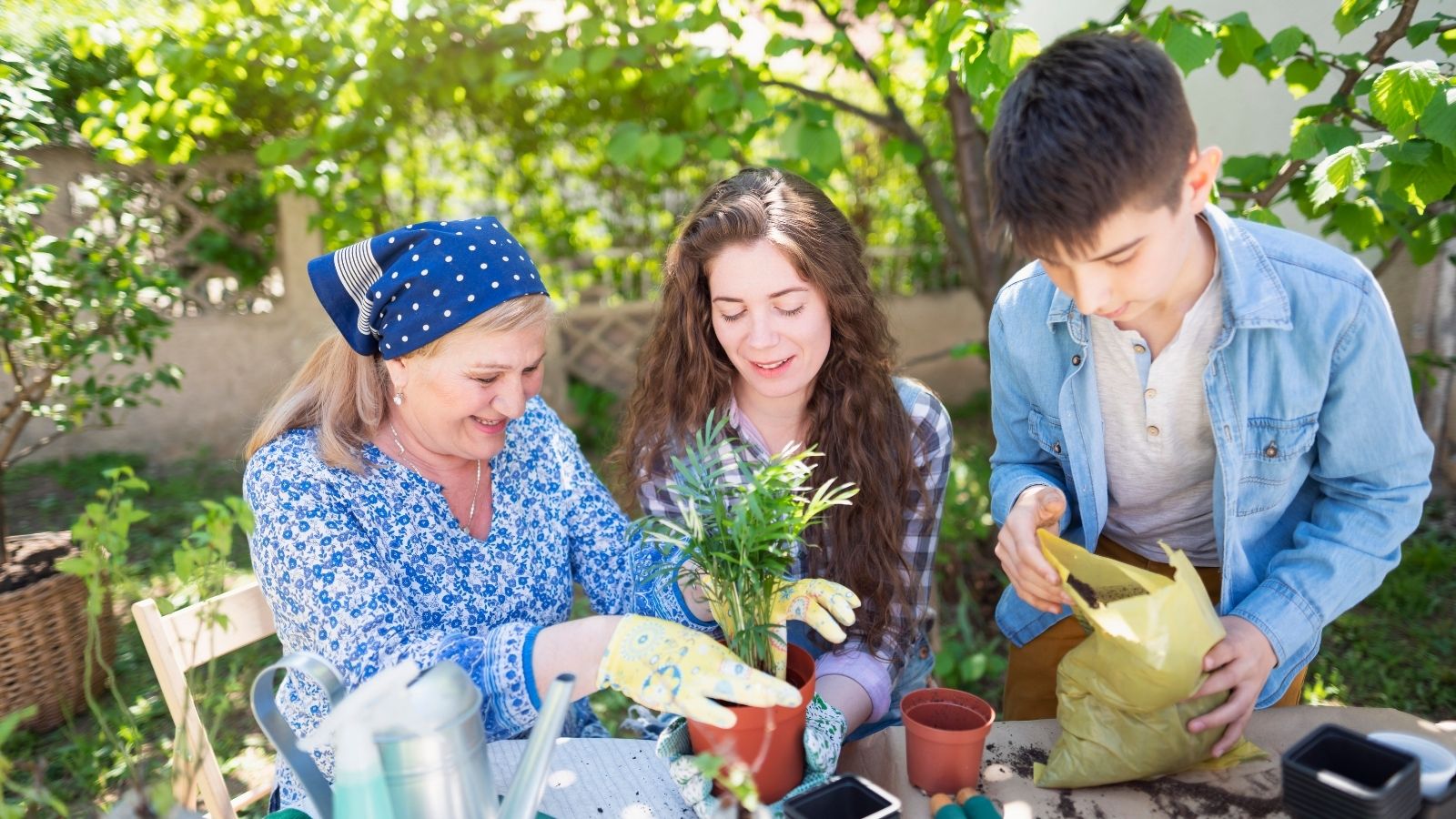To Increase The Nourishment Of The Plants: Try These 2 Broad Types Of Fertilizer