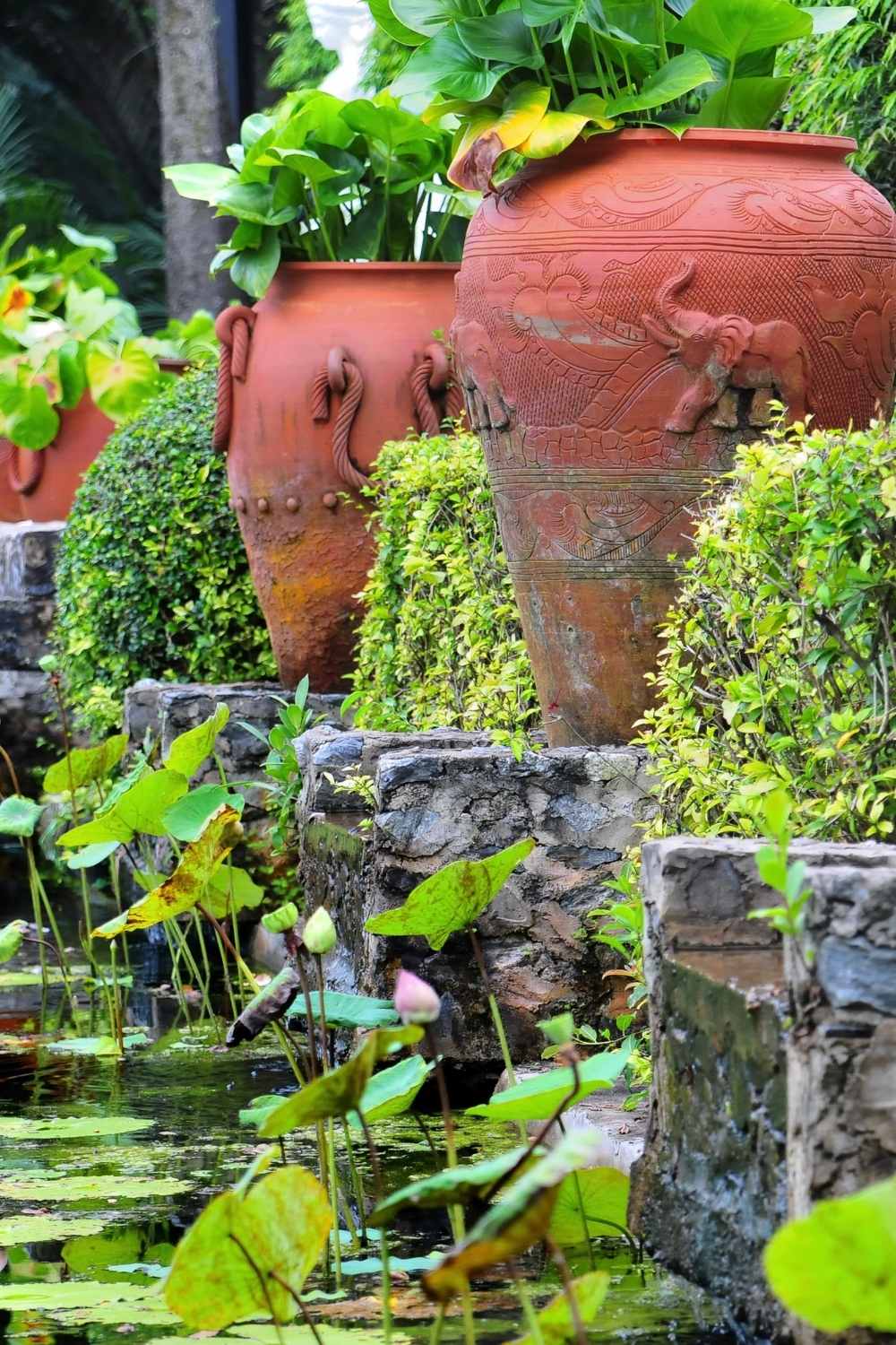 Line up an array of terracotta pots